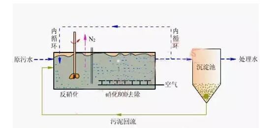 高濃度，高氨氮