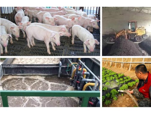 養(yǎng)殖場(chǎng)一年光處理污水的費(fèi)用就需要40萬(wàn)？？大可不必！