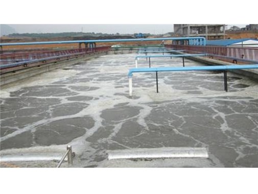 養(yǎng)殖污水處理中的致病微生物該如何處理？